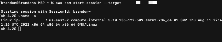 Successful SSH Connection